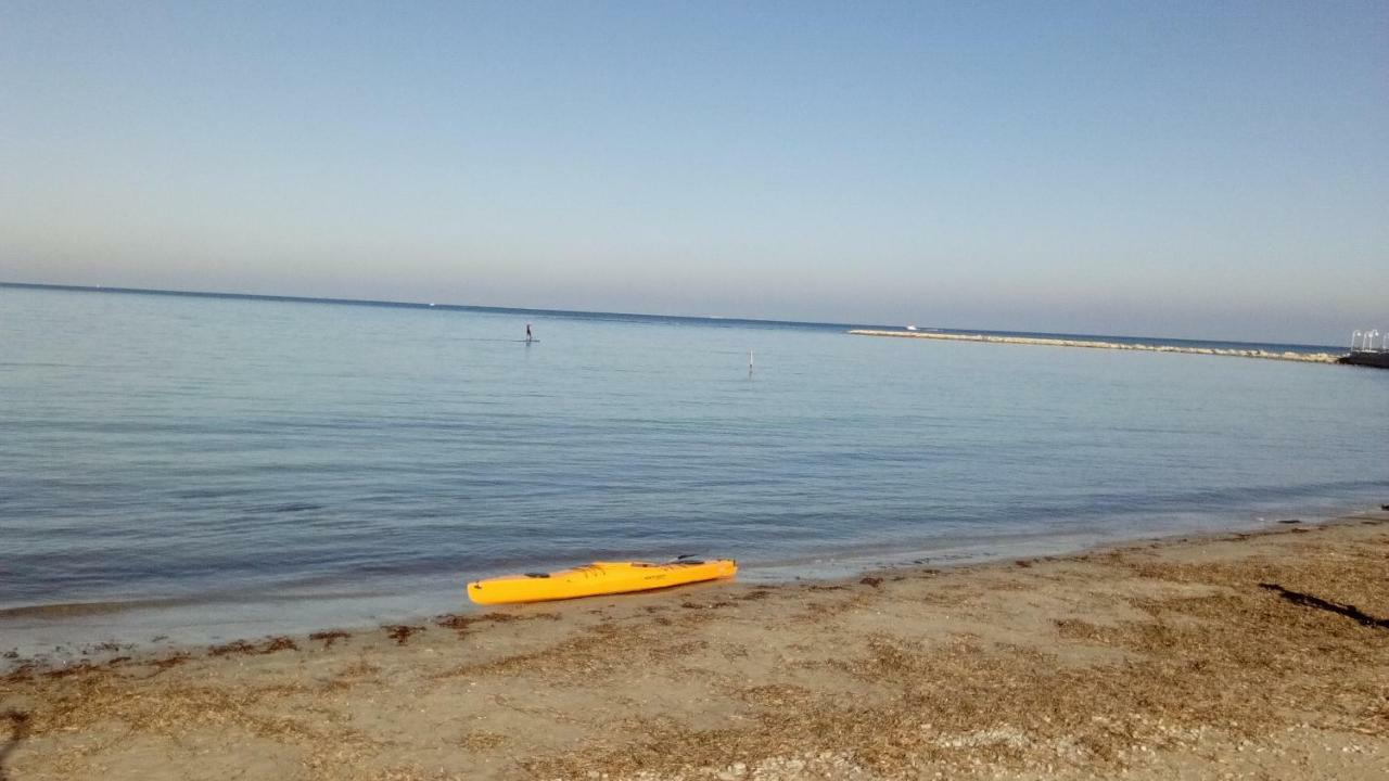 Mare Nostrum II Denia. Bagian luar foto